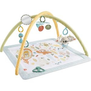 Fisher-Price Simply Senses Newborn Gym Baby Activity Mat